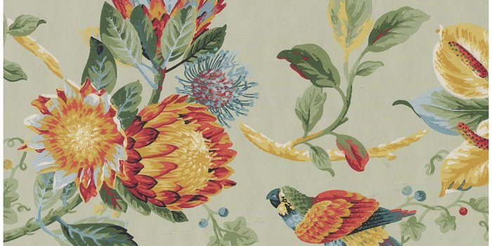 1500x1257 Prepasted Wallpaper Border - Colorful Parrots on Vine Tropical