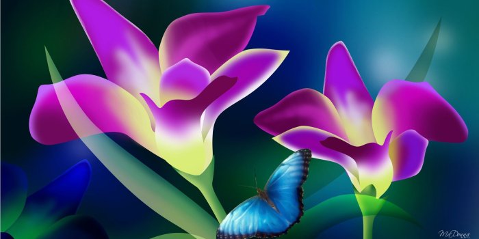 1920x1080 Tropical Flowers Wallpapers