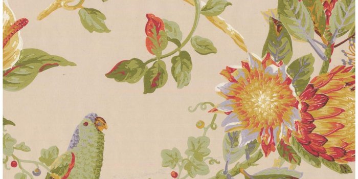 1000x1000 Colorful Parrots on Vine Tropical Flowers Beige Prepasted Wallpaper Border