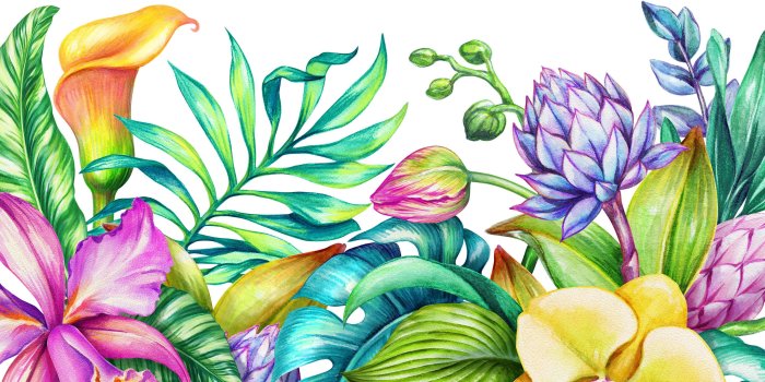 3000x2640 Mesa Removable Paradise Nature Tropical Flowers 9.17' L x 175