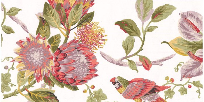 1500x1221 Prepasted Wallpaper Border - Colorful Parrots on Vine Tropical