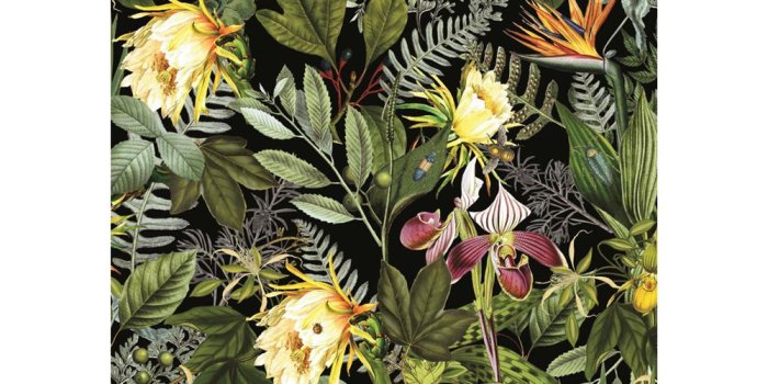 1000x1000 Tropical Flowers Peel & Stick Wallpaper by RoomMates for York