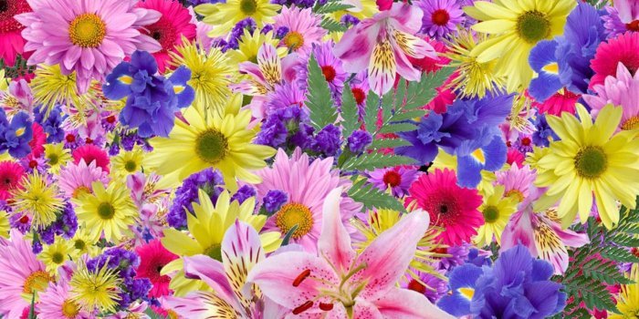 1932x1566 53+ Exotic Flower Wallpapers on WallpaperPlay