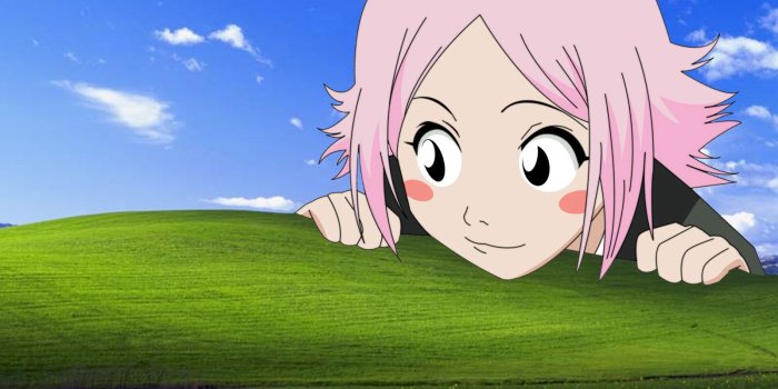 1600x1200 Funny Bliss Windows Wallpaper | 1600x1200 | ID:14545