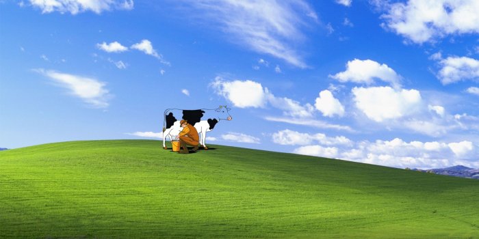 1920x1200 Funny Windows Wallpaper 1920x1200