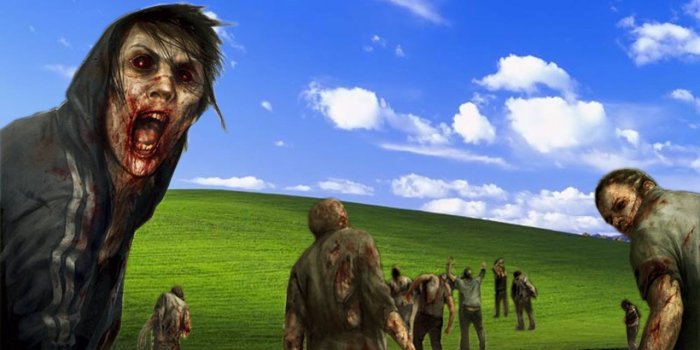 1280x1024 Funny Bliss Windows Wallpaper | 1280x1024 | ID:14403