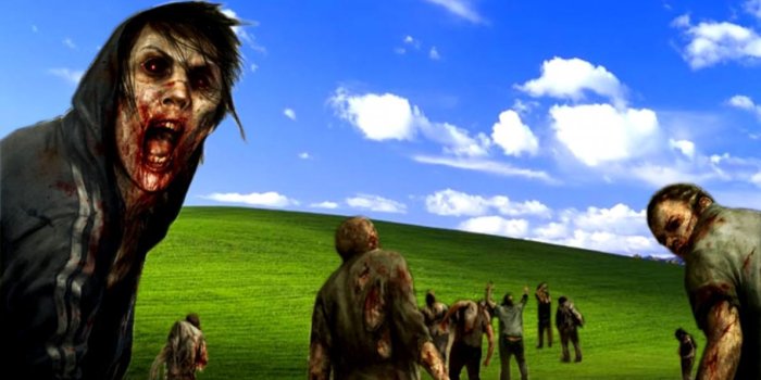 1190x972 Windows Wallpaper Funny | Wallpapers Link