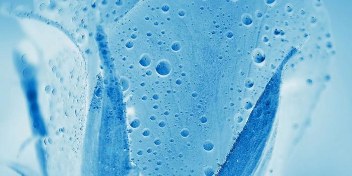 1600x1422 Galaxy S4 Wallpaper - Aqua Rose - HD Wallpapers - 9to5Wallpapers