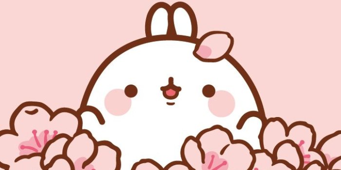 721x1281 몰랑이 컬러링 [no.2 벚꽃] : 네이버 블로그 | Pet in 2019 | Cute