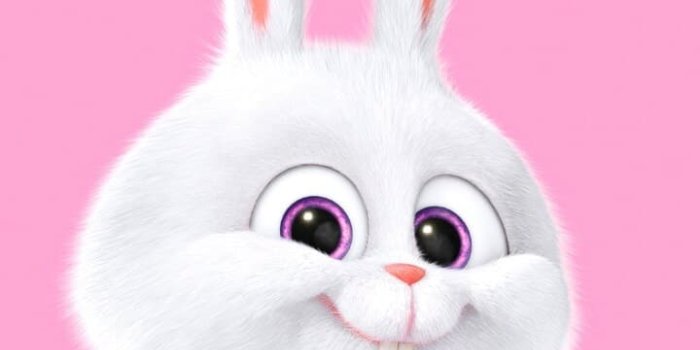 720x1225 Kawaii Bunny Wallpapers