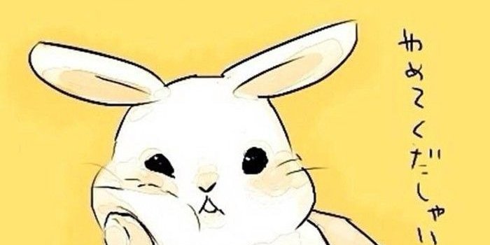 700x1242 Cartoon Kawaii Cute Bunny Wallpaper