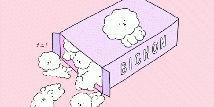 720x1280 animals, art, baby, background, beautiful, beauty, blue, bunny