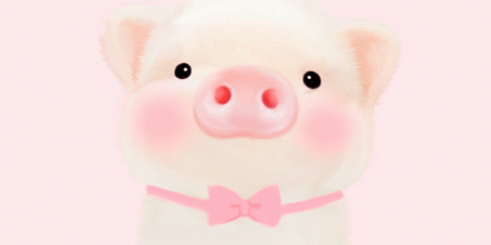 720x1280 animals, art, baby, background, beautiful, beauty, blue, bunny