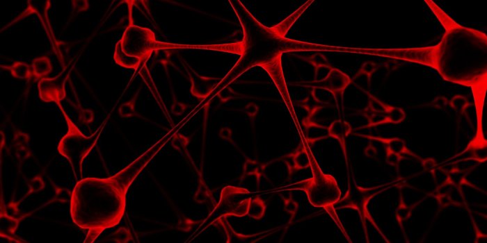 1920x1200 Neuron HD Wallpaper | Background Image | 1920x1200 | ID:931568