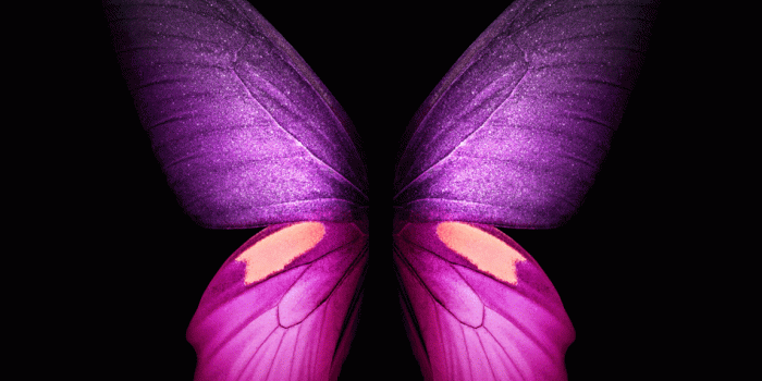 950x950 Download] Grab the wallpapers from the Samsung Galaxy Fold here