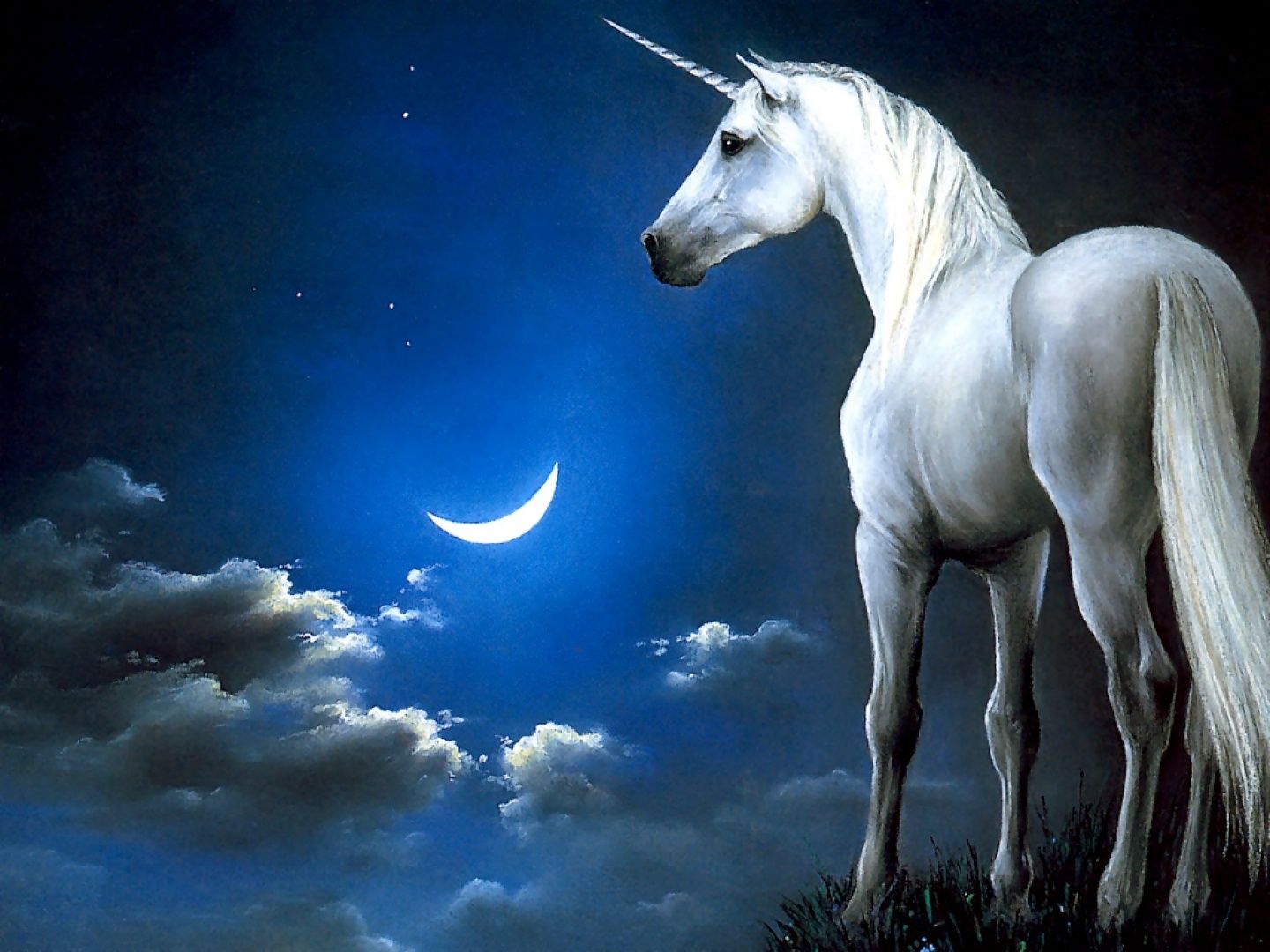1440x1080 Animated Unicorn Wallpaper on WallpaperGet.com