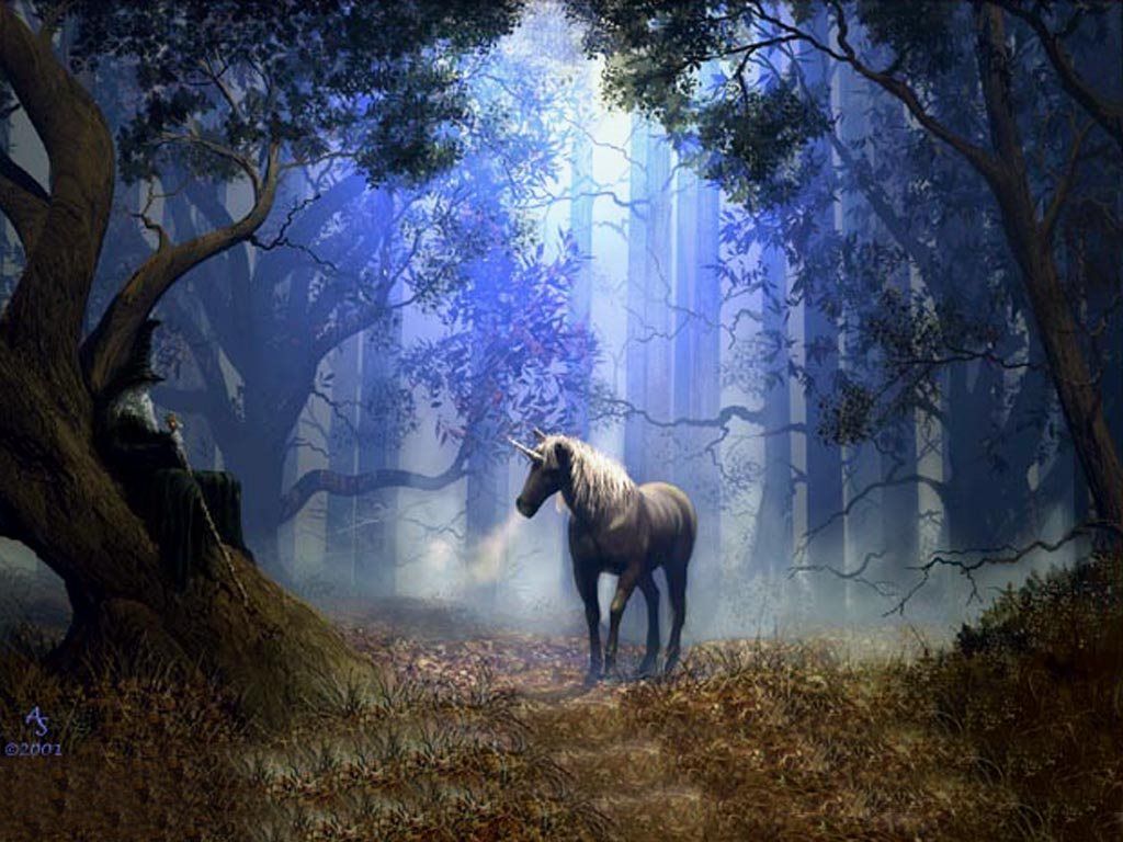 1024x768 unicorn-4u: Funny pictures|Amazing wallpapers|Fantasy wallpapers: 10