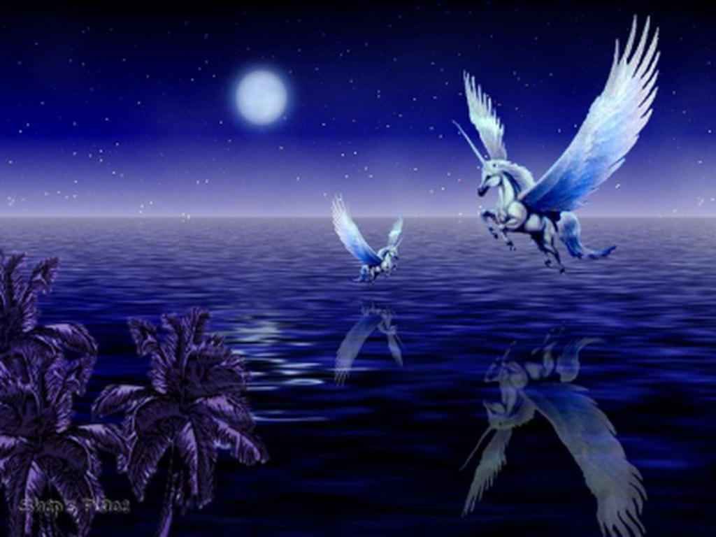 1024x768 Pegasus Wallpaper | koala n babe | Pegasus, Unicorn, Animated unicorn