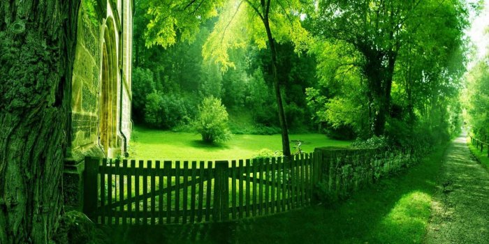 1244x700 Green Nature wallpaper | 1920x1080 | 582710 | WallpaperUP