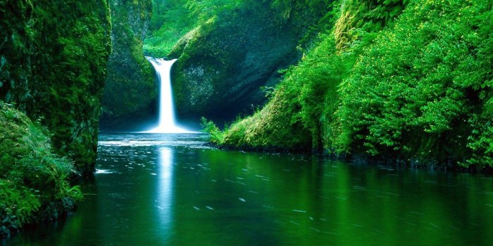 1600x1200 77+] Nature Wallpaper Hd on WallpaperSafari