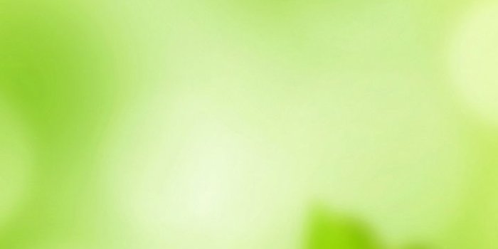 720x1520 Foliage Green Nature Wallpaper - [720x1520]