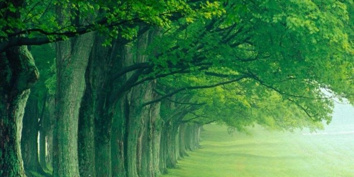 1024x819 nature | greenish nature wallpaper hd nature wallpaper hd nature