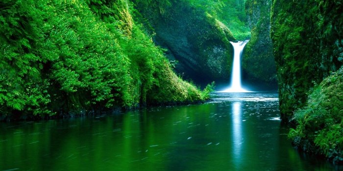 1920x1200 Free Download HD Nature Wallpapers