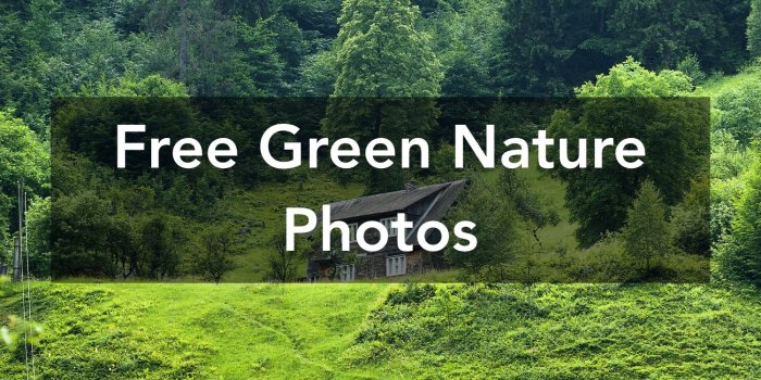 1500x1000 1000+ Beautiful Green Nature Photos · Pexels · Free Stock Photos