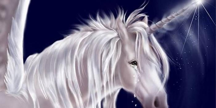 1440x1280 Sad Unicorn Wallpaper by Venus_ - ea - Free on ZEDGE™