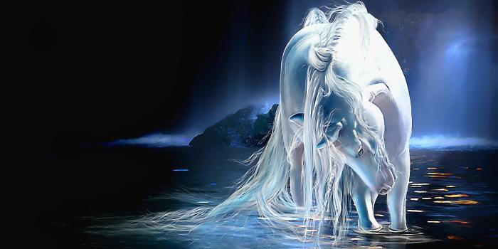 1920x1200 Horse Wallpaper White Unicorn Wallpapers Hd Wallpapers - Fantasy