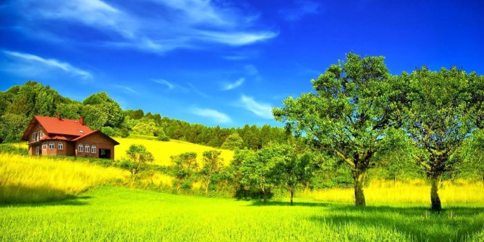 1600x1000 60+ Most Beautiful Green Wallpapers - Download at WallpaperBro