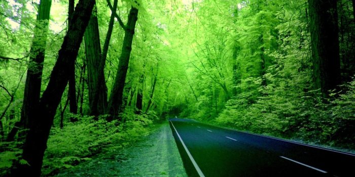 1920x1080 Download Awesome Nature Wallpapers in Full HD