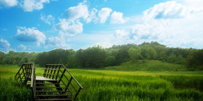 1440x900 Green Nature Wallpapers HD Pictures – One HD Wallpaper Pictures