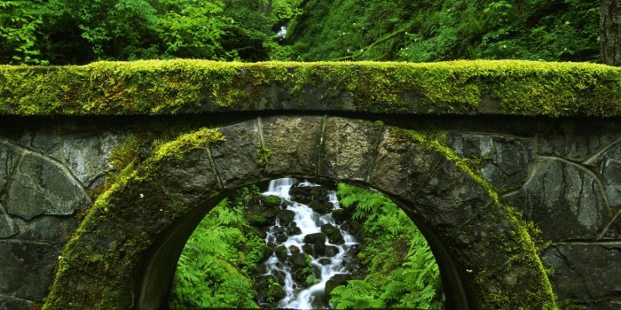 1920x1080 Wallpapers HD 1080p Nature Green