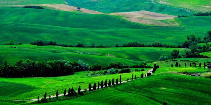 2880x1800 30 Unique and Beautiful Natural Green Wallpapers for Desktop - COOLUPON