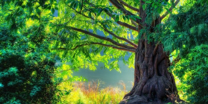 1920x1080 1080p HD Image Nature