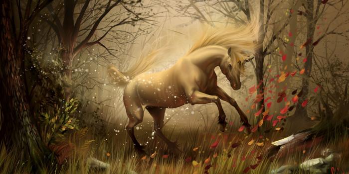 2560x1440 Standard - Hd Wallpaper Of Unicorn (#260482) - HD Wallpaper Download