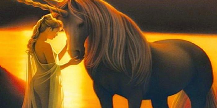 1600x1000 Girly Horse Wallpapers - Top Free Girly Horse Backgrounds