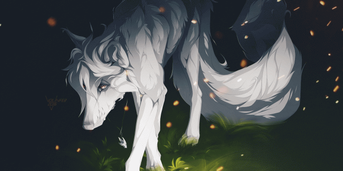 2560x1700 Download 2560x1700 White Wolf, Long Tail, Creature, Forest, Grass