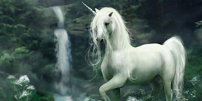 1920x1080 Unicorn Wallpaper, XIK53 HQ Definition Wallpapers For Desktop And Mobile