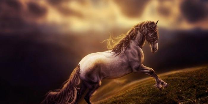 1024x768 Fantasy Horse Wallpapers and Background Images - stmed.net