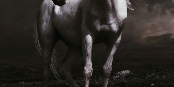 1080x1920 Free HD Unicorn Phone Wallpaper...6794