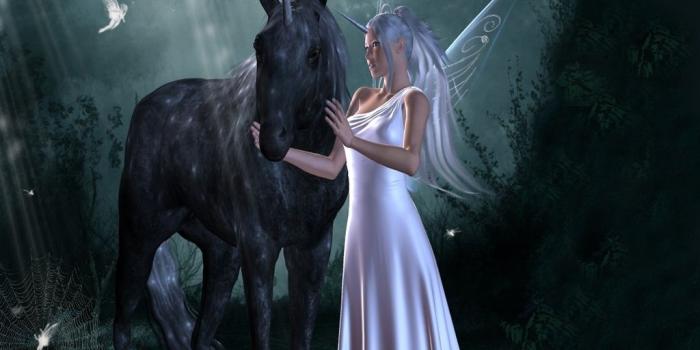 1024x768 Best 41+ Unicorn and Fairy Desktop Wallpaper on HipWallpaper