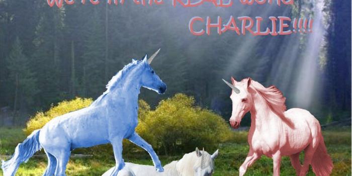 1024x768 REAL world, CHARLIE!!!! - Charlie the Unicorn Wallpaper (4809872