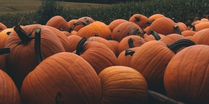 721x1280 Sarah Coleman on backgrounds | Fall wallpaper, Autumn