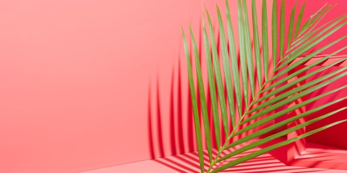 4096x2304 Desktop Wallpaper Graphic Design (82+ images in Collection) Page 1