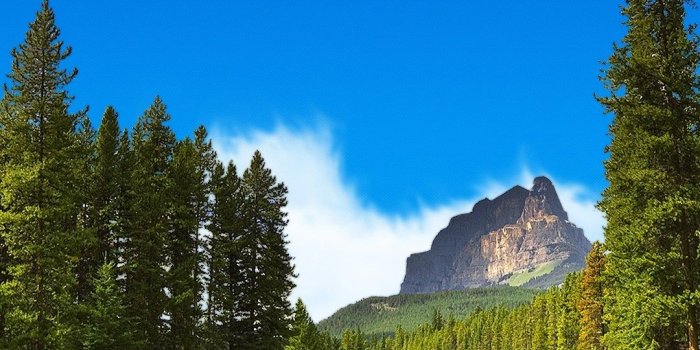 1080x1920 65 NATURAL IPHONE WALLPAPERS FOR THE NATURE LOVERS..... - Godfather