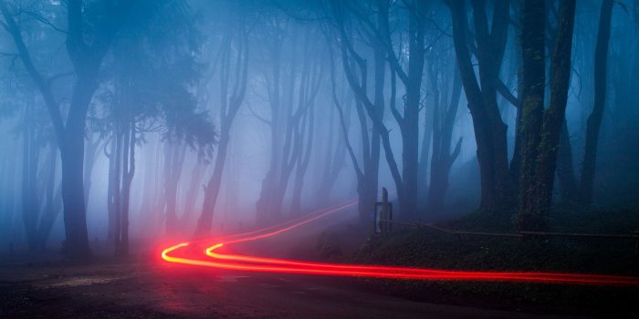 2560x1440 Foggy Forest Road Lights Desktop Wallpaper