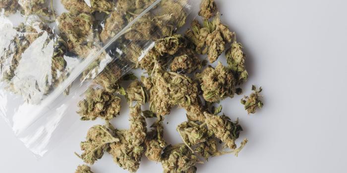 1921x1202 Identifying Old or Bad Cannabis Past Its Shelf Life | Leafly