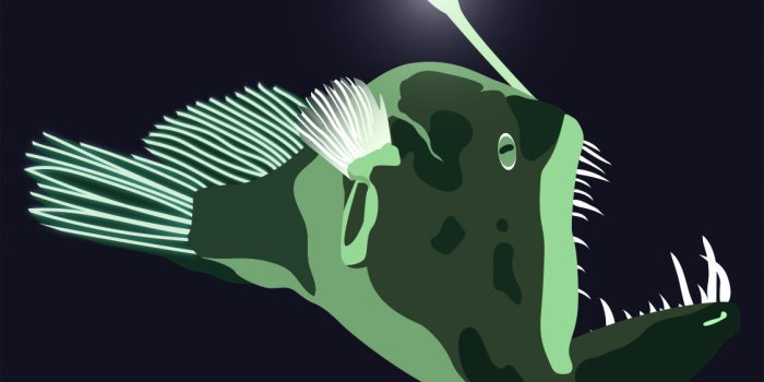 1125x2436 NOAA's National Ocean Service: Wallpaper